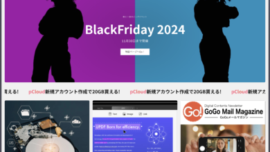 ブラックフライデー2024