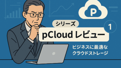 ビジネスに最適なクラウドストレージ「pCloud」とは？〜スイス発の高セキュリティなストレージをレビュー〜