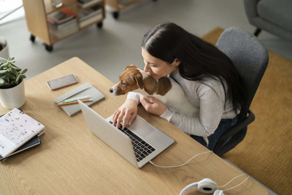 ノイテックスメンバー募集:マーケティング担当者